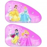 Markas Защитный экран в автомобиль Princess DP-SAA-021